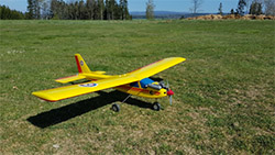 kaska21